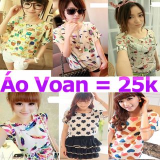 Áo kiểu nữ voan phối ren