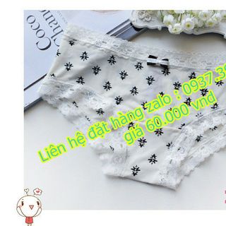 Chuyên cung cấp sỉ và lẻ quần chip thun lạnh cc02