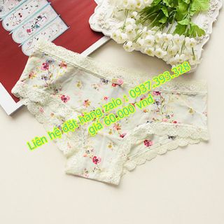 Chuyên cung cấp sỉ và lẻ quần chip thun lạnh cc03