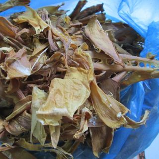 Măng khô tủa chùa tây bắc