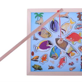 Câu cá đại dương