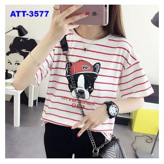 Att-3577 áo thun soc in chữ big họa tiết con chó