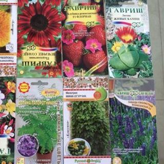 Hạt giống hoa củ quả các loại