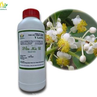 Tinh dầu nền thiên nhiên giá sỉ