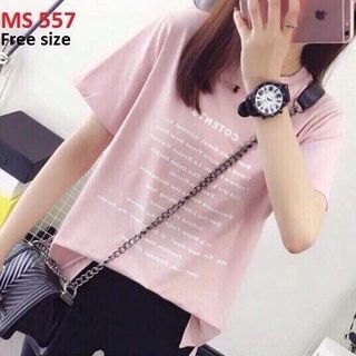 Áo thun nữ cotton đồng giá