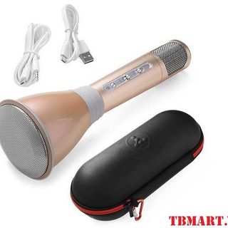 Mic kèm loa tích hợp 3 trong 1
