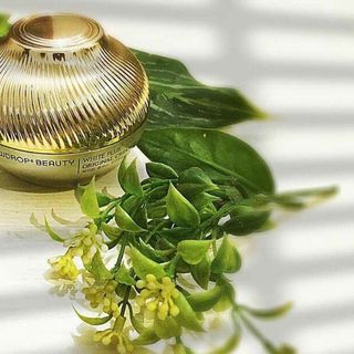 Dewdrop beauty white plus original cream ex-dưỡng trắng căng mịn da