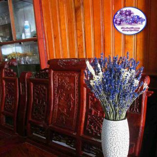 Hoa khô lavender oải hương