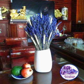 Hoa khô lavender oải hương