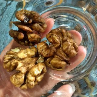 Quả óc chó điện biên