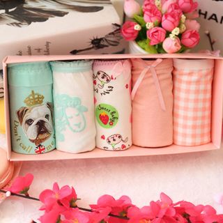 Quần chip dễ thương - có hộp - cực kute cx12
