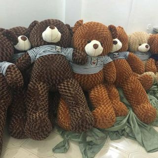 Gấu nhồi bông teddy