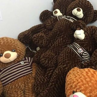 Gấu nhồi bông teddy