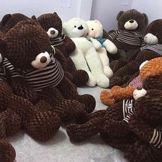 Gấu nhồi bông teddy