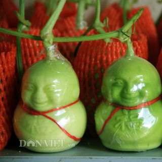 Dưa lê thần tài