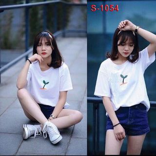S-1113 áo thun nữ màu hồng in họa tiết dễ thương
