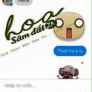 Bán sỉ lẻ trà hoa sâm đất zn