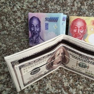 Ví in hình ngoại tệ