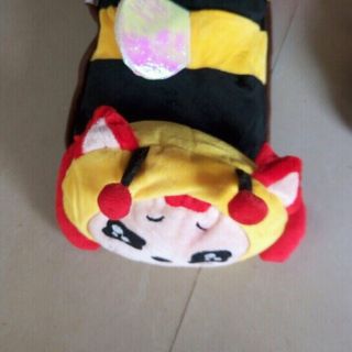 Túi sưởi