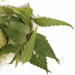 Bột neem an hỷ store