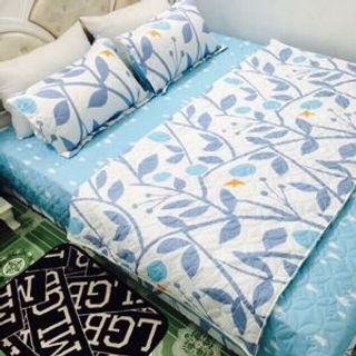 Bộ chăn drap 1m6