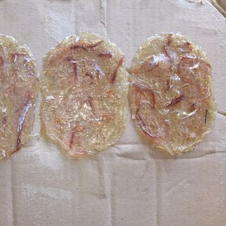 Cá bảy trầu