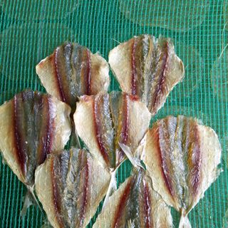 Cá chỉ vàng