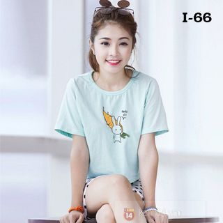 Áo thun tay lỡ form rộng in mèo cái ly 3 màu