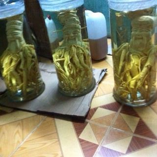 Rượi đinh lăng