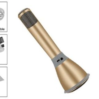 Mic karaoke