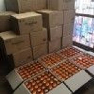 Nước súc miệng propolinse - đánh bật mảng bám hết hôi miệng