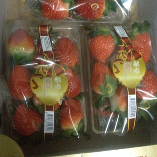 Dâu tươi hàn quốc