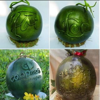 Dưa hấu tết - đẹp lạ độc