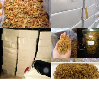 Nho khô vàng ấn độ