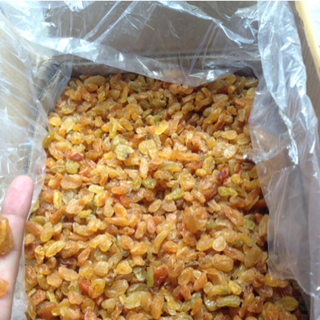 Nho khô vàng ấn độ