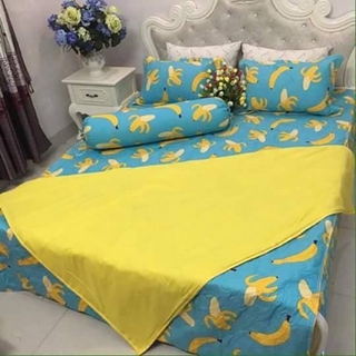 Bộ chăn ga cotton poly trần bông