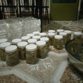 Mứt gừng đu đủ