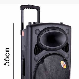 Loa kéo temeisheng 297l