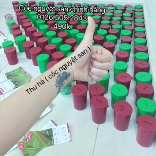 Cốc nguyệt san yuuki ch séc rẻ nhất thị trường