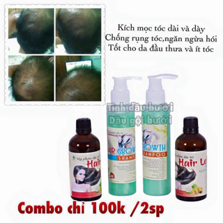 Dầu gội bưởi và tinh dầu bưởi