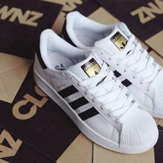 Giày adidas superstar mũi sò