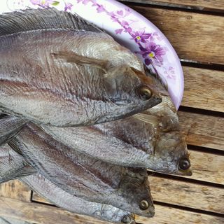 Khô cá sặc