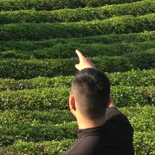 Chúng tôi chuyên cung cấp tất cả các loại chè tuyên quang