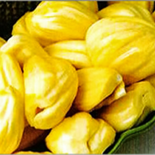 Mít nghệ