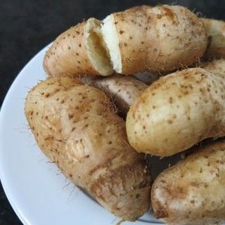 Củ từ khoai từ