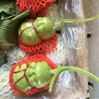 Dưa lê thần tài