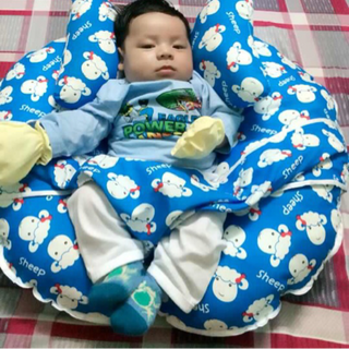 Gối đa năng chống trào