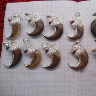 Móng hổ gấu