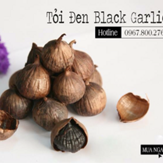 Tỏi đen một nhánh
