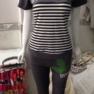 đồ bộ adidas cotton 4c